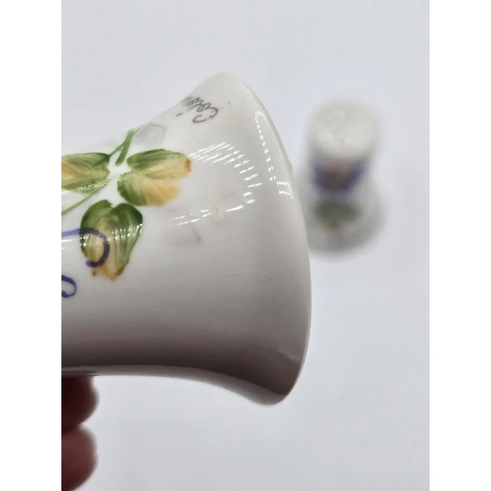 Vintage Colorado Columbine Floral Salt & Pepper‎ Shakers Flower